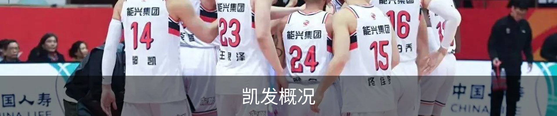 凯发概况
